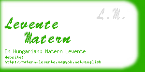 levente matern business card